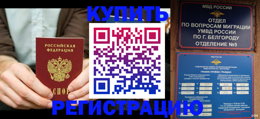 прописка 2025 в Великом Новгороде